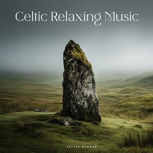 Lanterns by the Shore