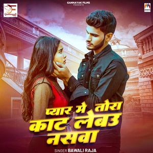 Pyar Me Tora Kat Lebau Nashwa