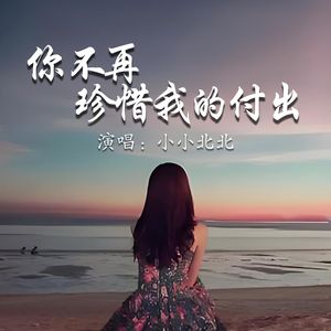 你不再珍惜我的付出