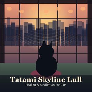 Tokyo Lantern Paws