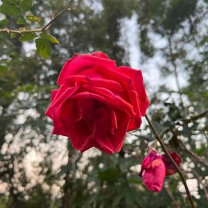 妥协的观众-小于吃鱼