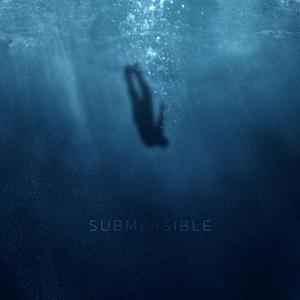 Submersible