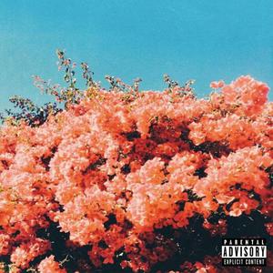 Peace over everything (feat. Insight Thobe)
