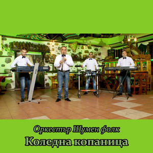 Коледна копаница