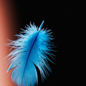 Feather Balloon