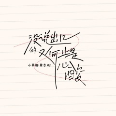 没说出口的又何止是心酸DJ版