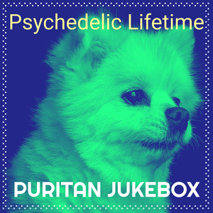 Psychedelic Lifetime