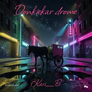 Donkiekar drome