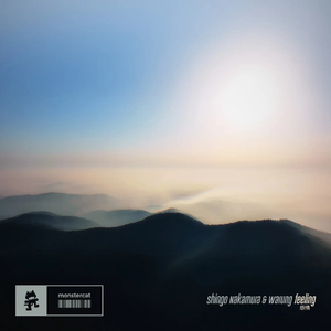 Feeling (Extended Mix)