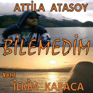 Bilemedim, Vol.1