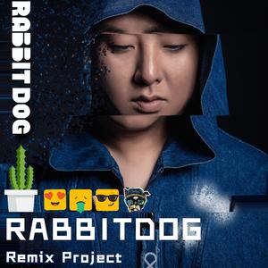 忍者2022（RABBITDOG REMIX）