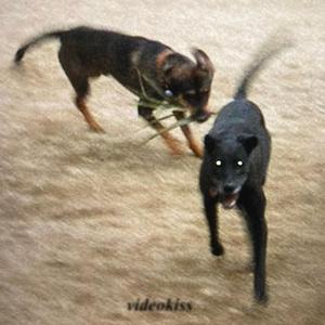 shadow of your smile