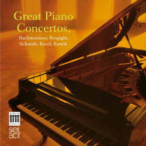 Concerto in modo misolidio for Piano and Orchestra, P. 145: I. Moderato. Viri Galilaei