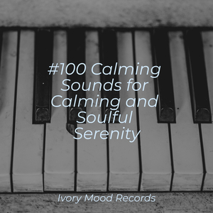 Peaceful Soul's Melodic Journey