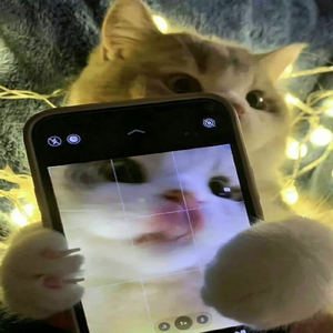 Nasıl Öğrendin Unutmayı