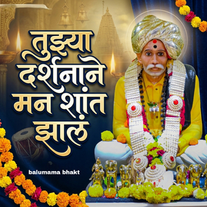 तुझ्या दर्शनाने मन शांत झालं