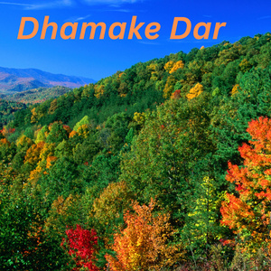 Dhamake Dar