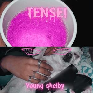 TENSEI