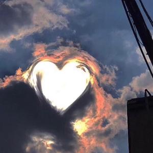 Capper-无人区玫瑰（7clock remix）