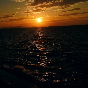 夏幕（proud by Daisy）