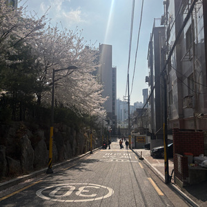 如果结局是分离 那相遇的意义在哪里