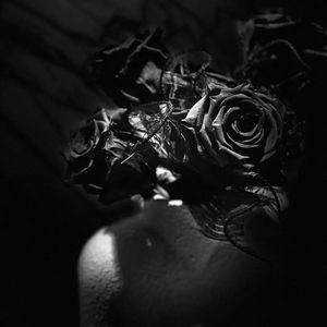 玫瑰总是伴随荆棘