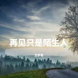 再见只是陌生人
