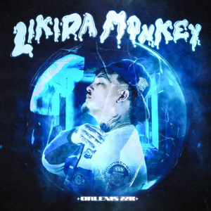 Likida Monkey