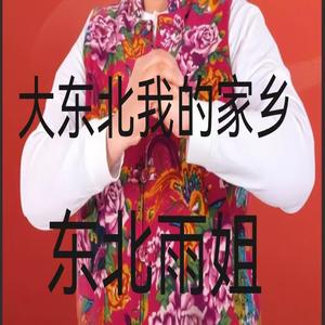 大东北我的家乡 (DJ铁柱版)