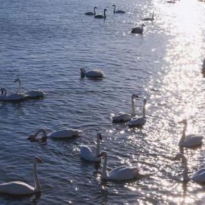 爱在夏日风起时（Prod By ATTBEAT）