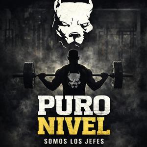 Puro Nivel
