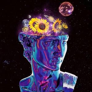 DICO-自省·心经（REMIX-VINA)（DJ Dico remix）