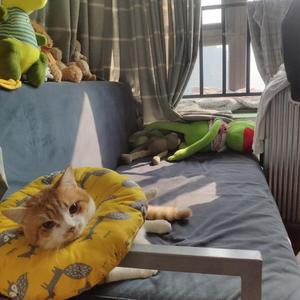 我在昨天的梦里看见了你（翻 枯木逢春）