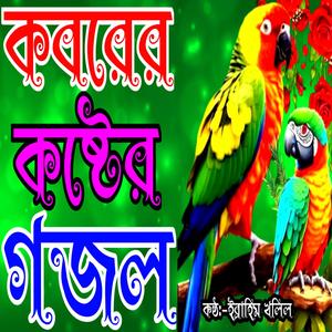 কেমনে দিবা জাহান্নামে ফেলিয়া |বিরহের গজল |Very hurt touching gojol |New gojol |গজল২০২৪ |Gojol |Gozal