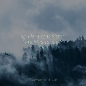 Viaje al Borde del Infinito