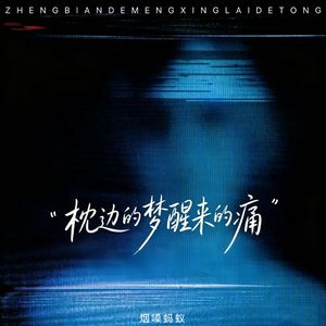 枕边的梦醒来的痛