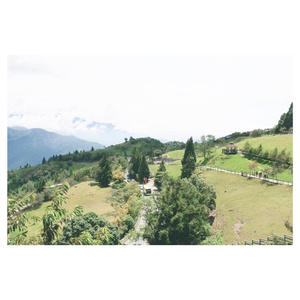 啷个哩个啷（Cover 鹏泊）