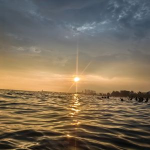 没有翅膀的蝴蝶