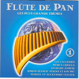La lecon de flute