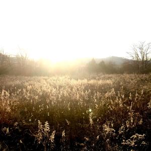 In the Cool of the Evening