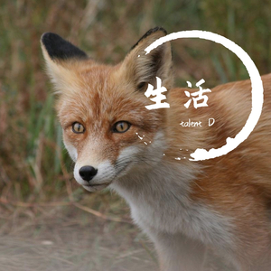 停（prod byT.A.）