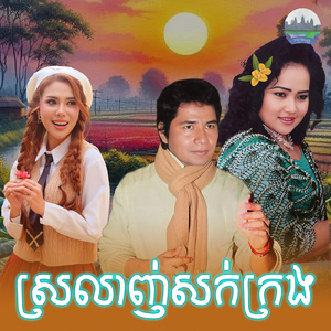ស្រលាញ់សក់ក្រង