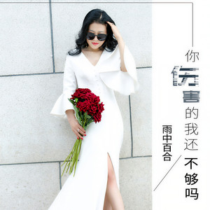 你伤害的我还不够吗