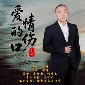 爱情的伤口（重制版）