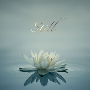 지금부터, 나의 시간