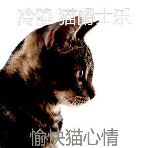 温和小猫梦想