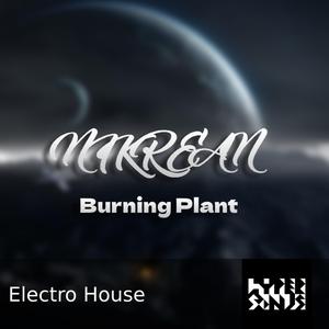 Burning Plant