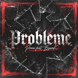 Probleme