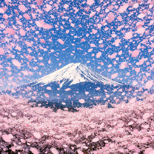 ひかり満ちる乱舞のとき