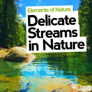 Sunniest Stream